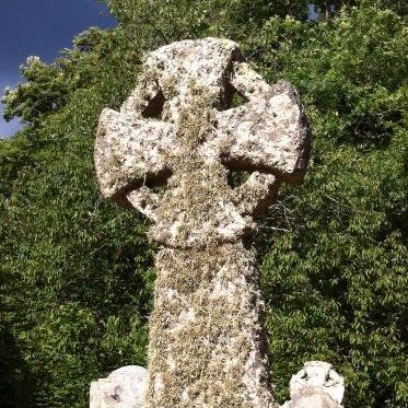 a Celtic cross gravestone covered in lichen in the sunshine against a tree in full leaf