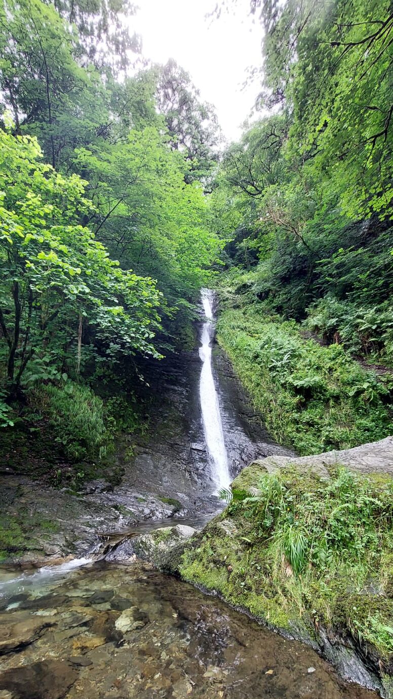 waterfall in woodland